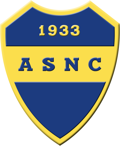 Logo AS Noailles 1